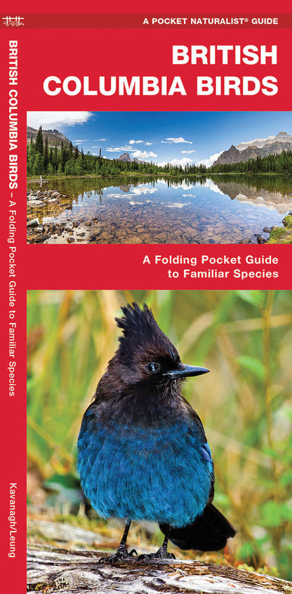 British Columbia Birds Pocket Guide