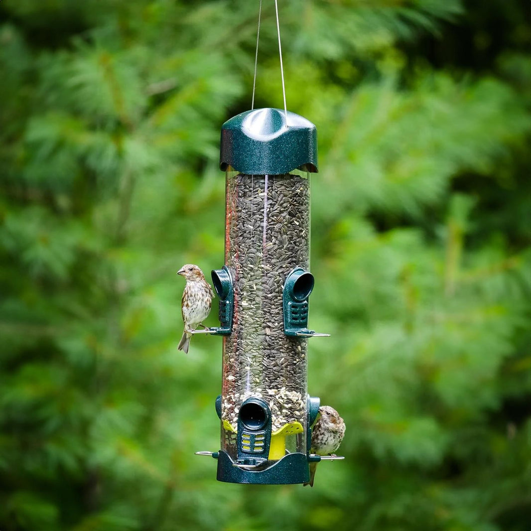Tube Bird Feeders – Backyard Nature Products