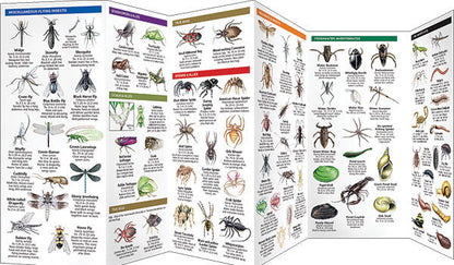 Bugs & Slugs Pocket Guide