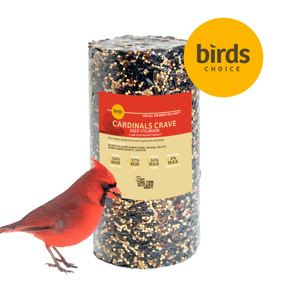 Cardinals Crave Seed Cylinder - Small