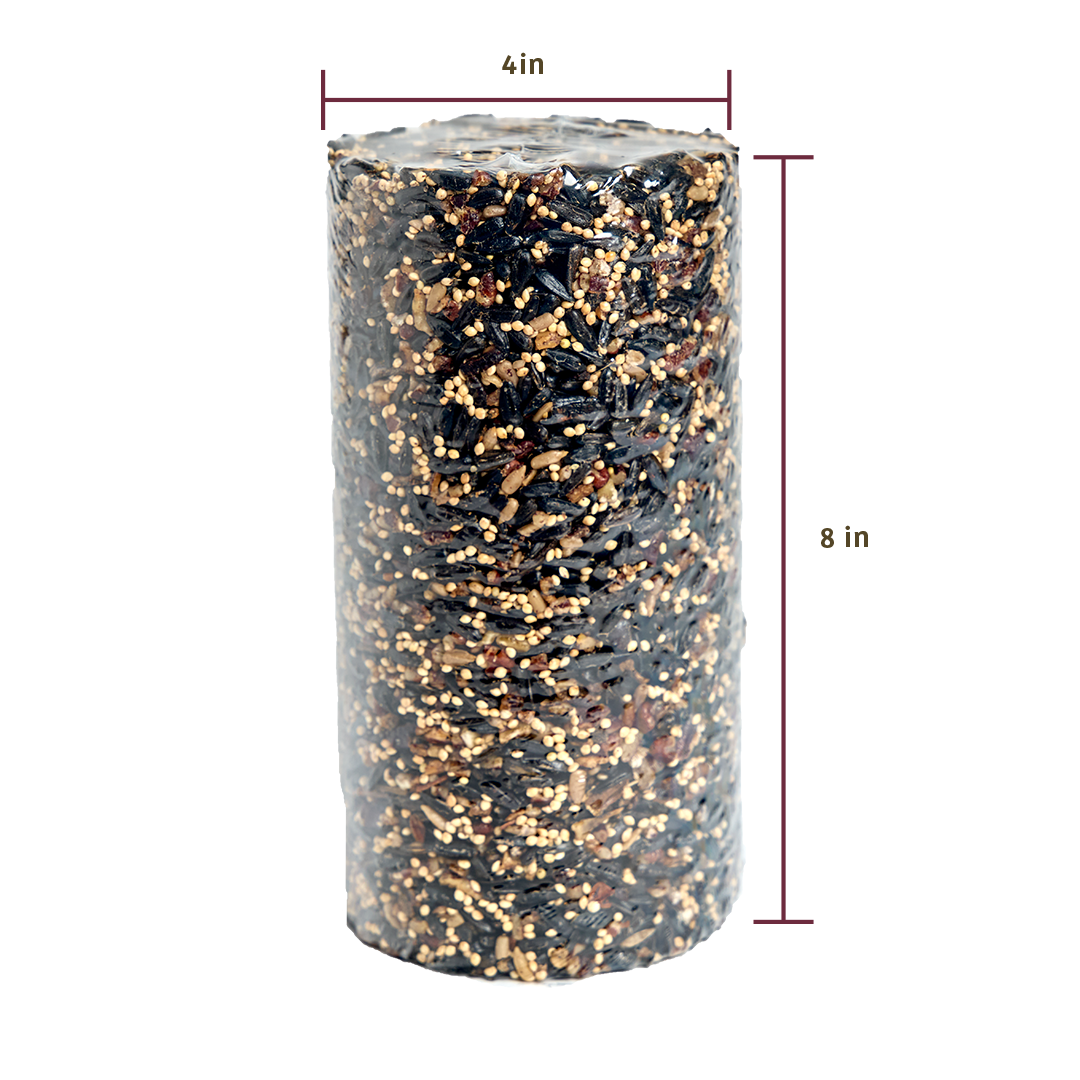 Cardinals Crave Seed Cylinder - Small