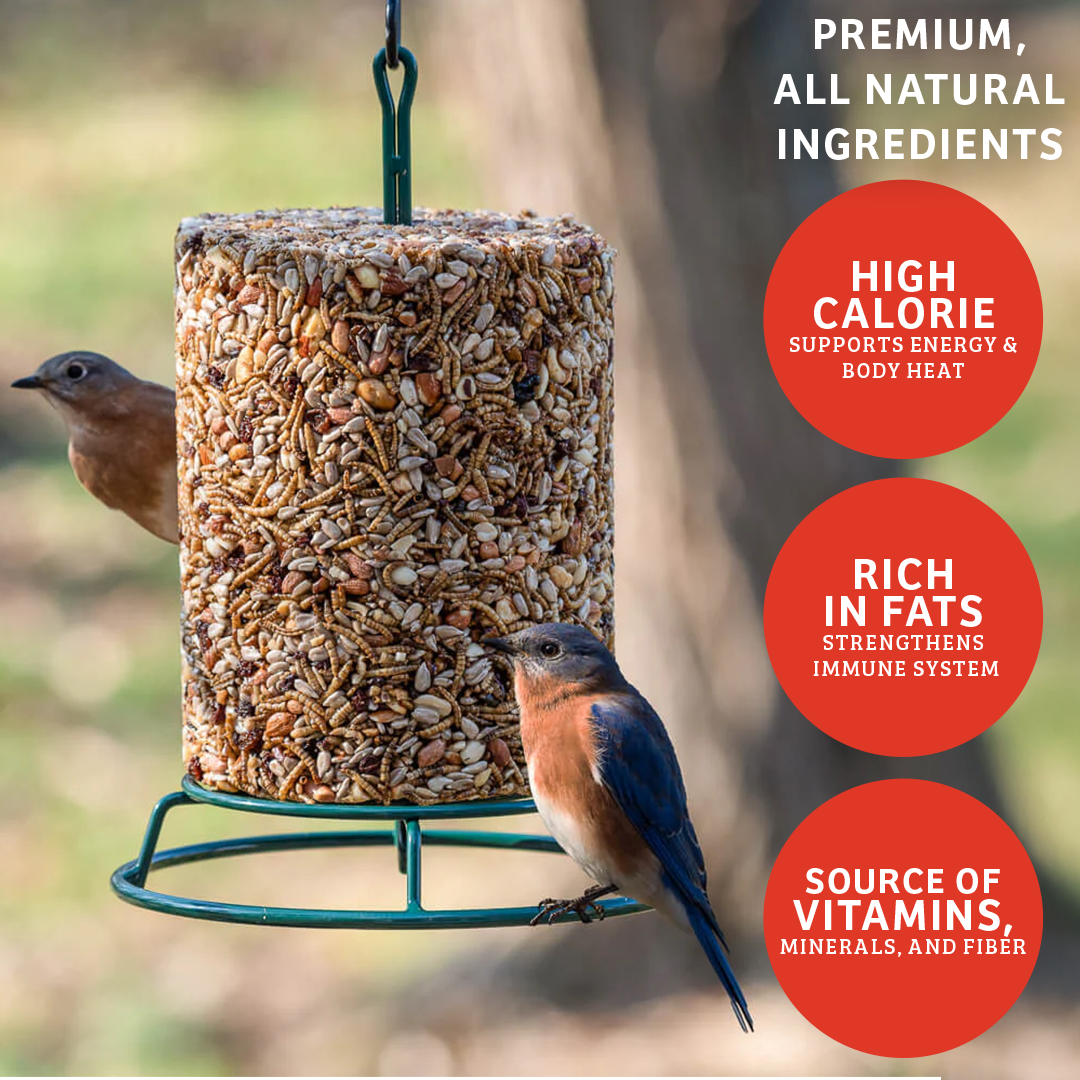 Cardinals Crave Seed Cylinder - Large