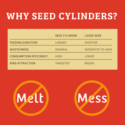 Cardinals Crave Seed Cylinder - Large