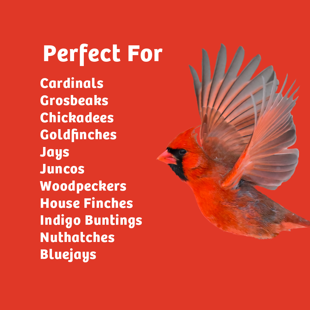 Cardinals Crave Seed Cylinder - Large