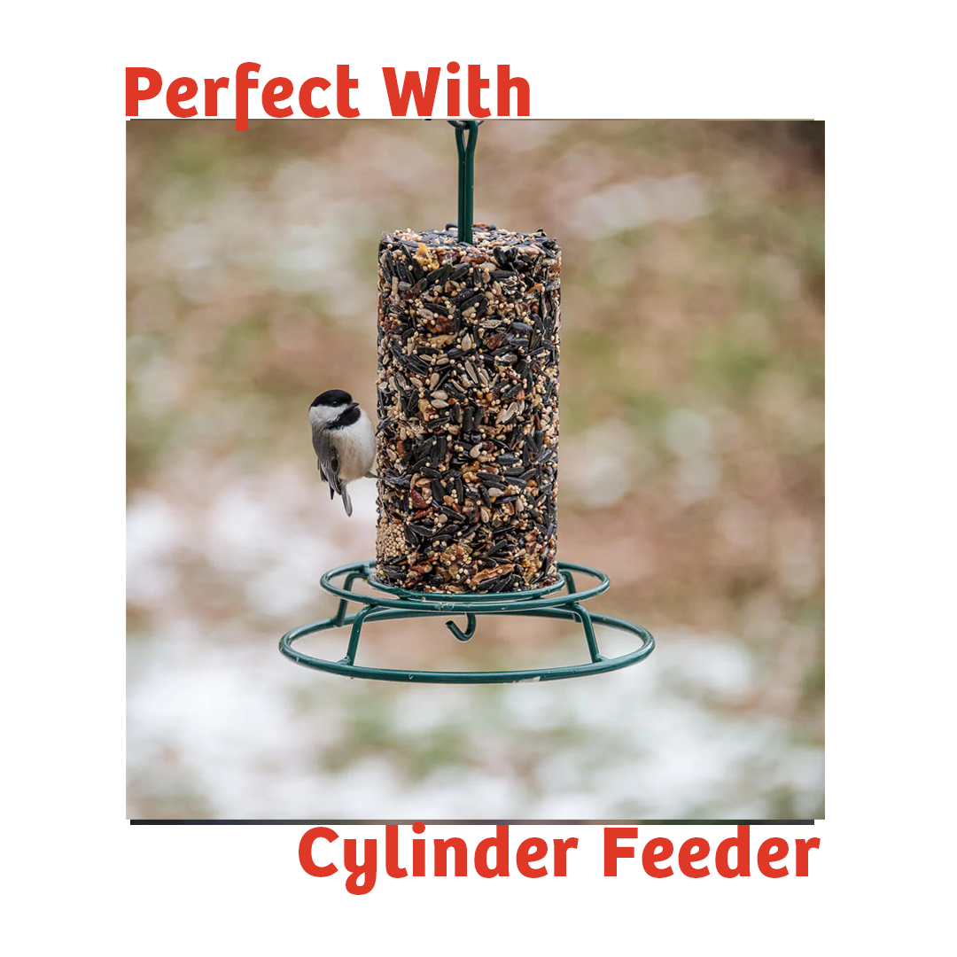 Cardinals Crave Seed Cylinder - Small