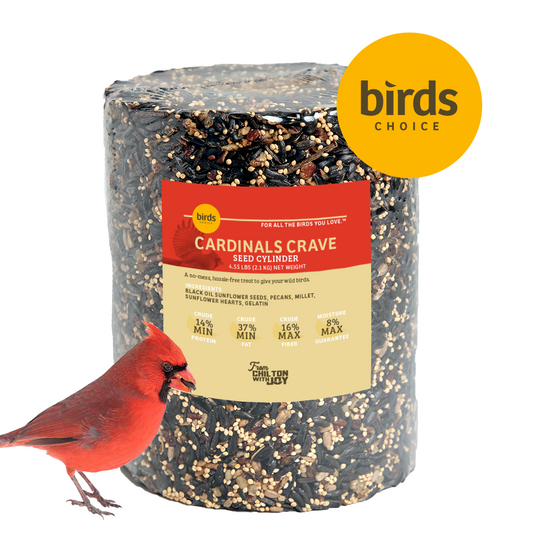 Cardinals Crave Seed Cylinder - Large