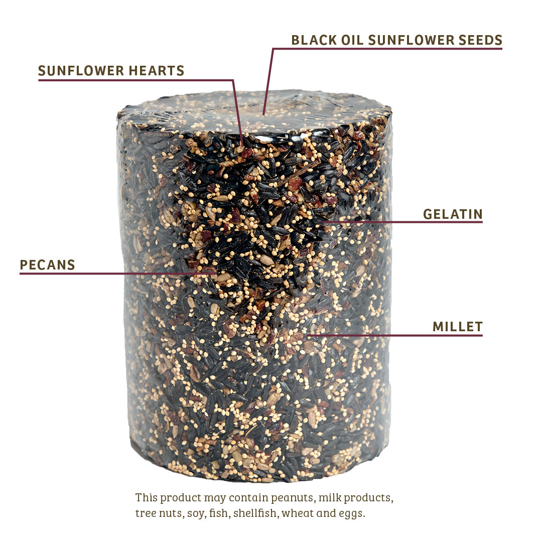 Cardinals Crave Seed Cylinder - Large