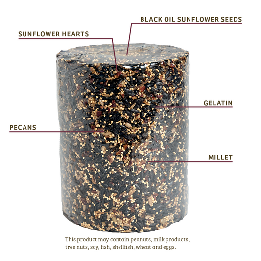 Cardinals Crave Seed Cylinder - Large