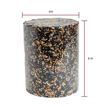 Cardinals Crave Seed Cylinder - Large
