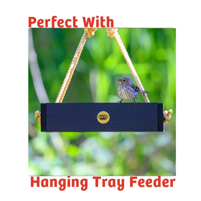 Cardinals Crave Seed Cake