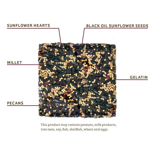 Cardinals Crave Seed Cake