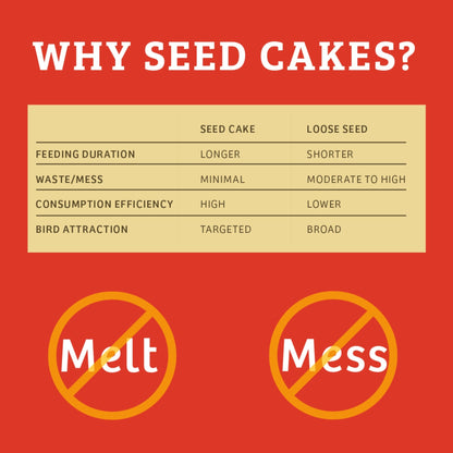 Cardinals Crave Seed Cake