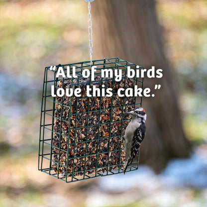 Cardinals Crave Seed Cake