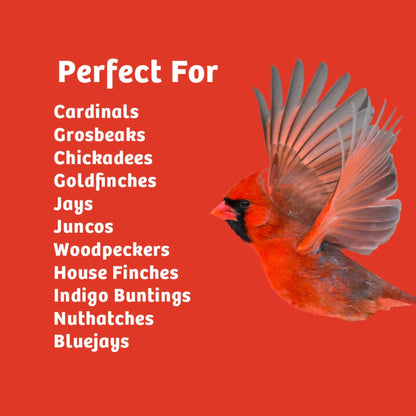 Cardinals Crave Seed Cake