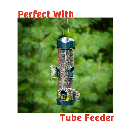 Cardinals Crave Wild Bird Food - 5 lbs.