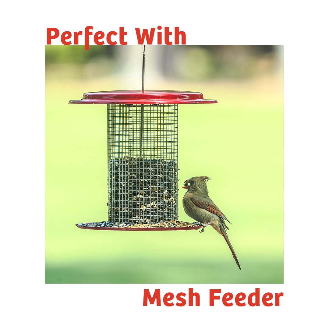 Cardinals Crave Wild Bird Food - 5 lbs.