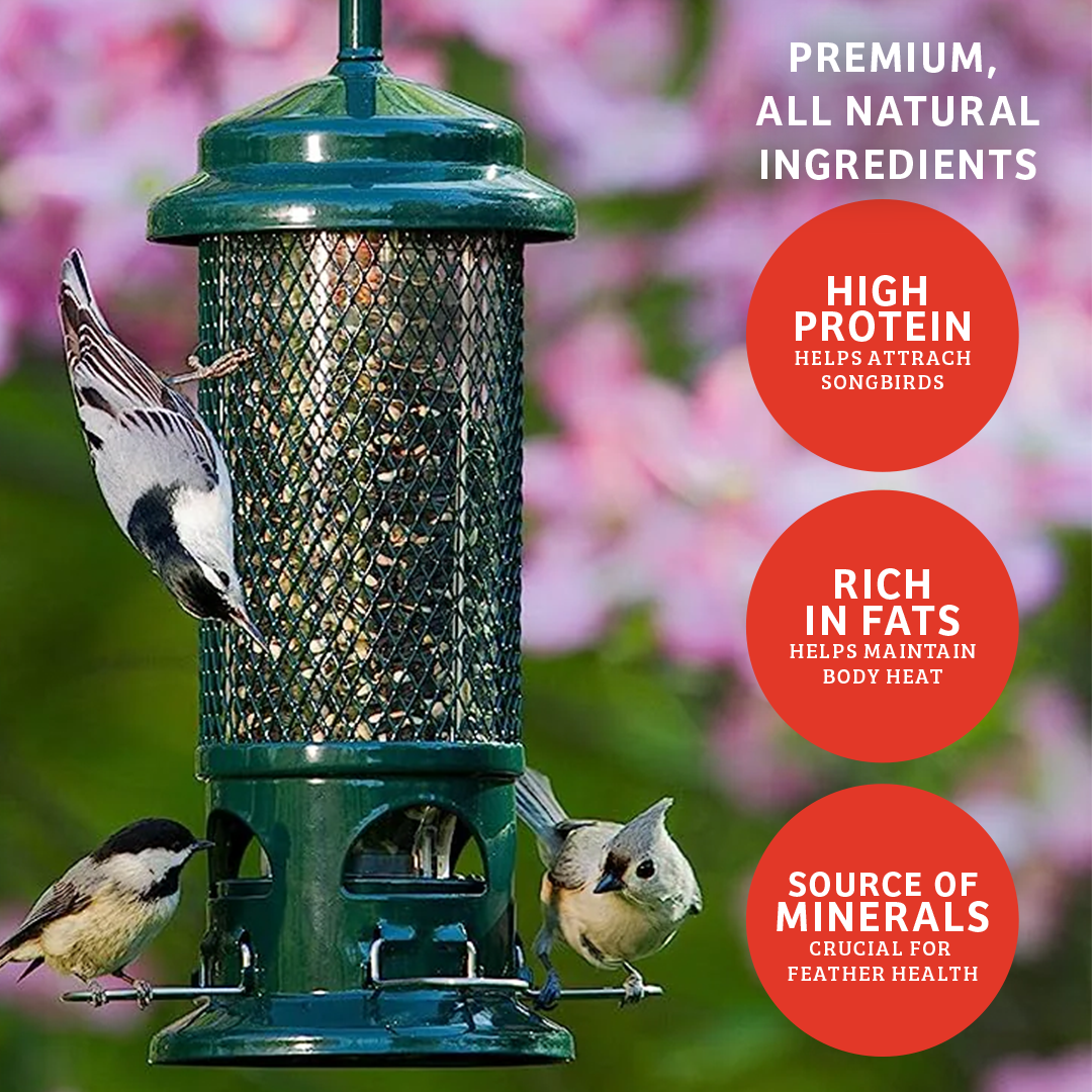 Cardinals Crave Wild Bird Food - 5 lbs.