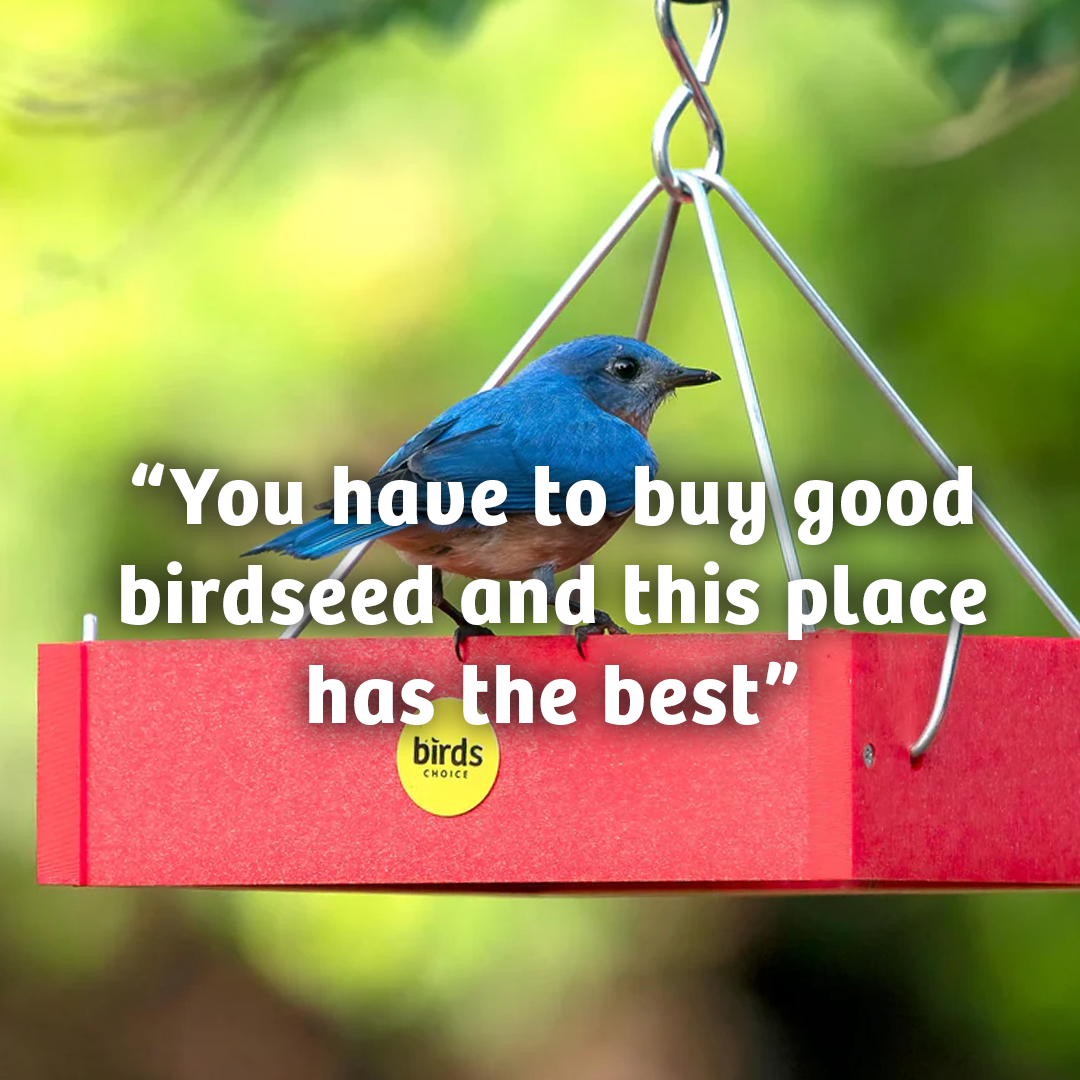 Cardinals Crave Wild Bird Food - 5 lbs.