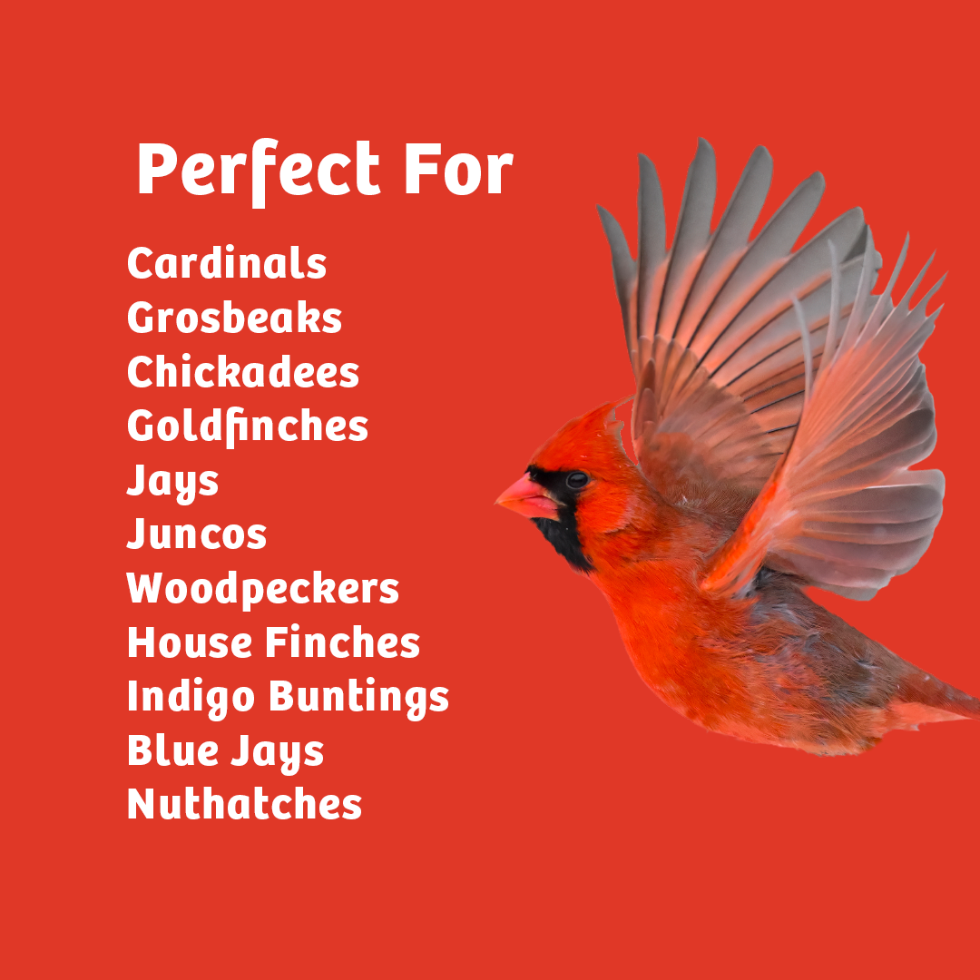 Cardinals Crave Wild Bird Food - 5 lbs.