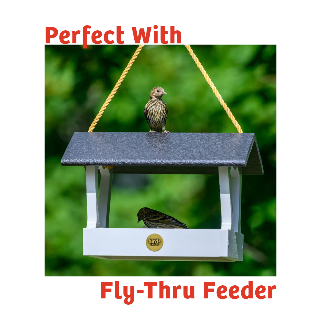 Cardinals Crave Wild Bird Food - 5 lbs.