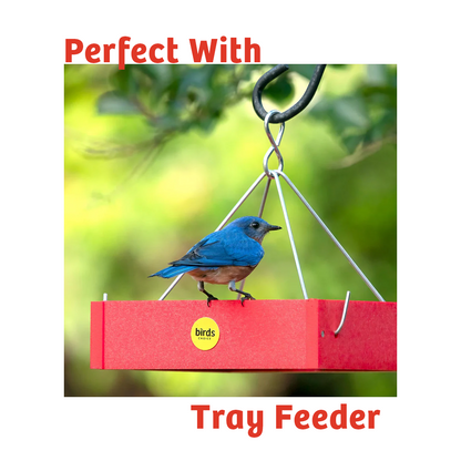 Cardinals Crave Wild Bird Food - 5 lbs.