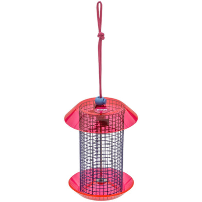 Small Sunflower Seed Feeder Color Pop Collection in Blue and Fuchsia - Birds Choice