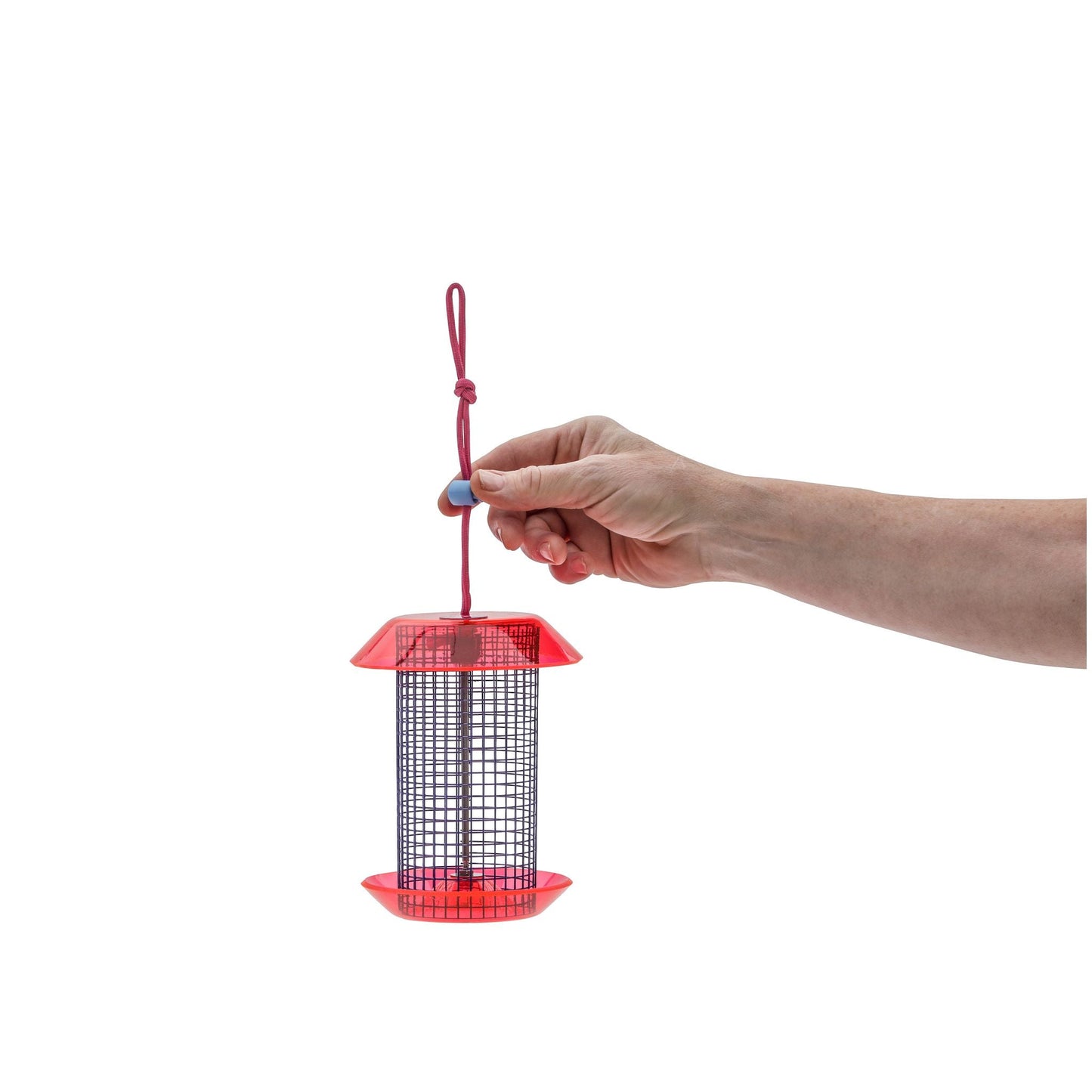 Small Sunflower Seed Feeder Color Pop Collection in Blue and Fuchsia - Birds Choice