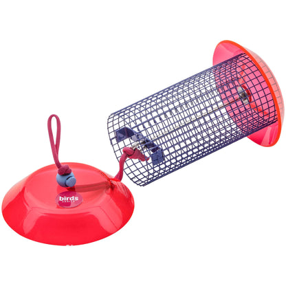 Small Sunflower Seed Feeder Color Pop Collection in Blue and Fuchsia - Birds Choice