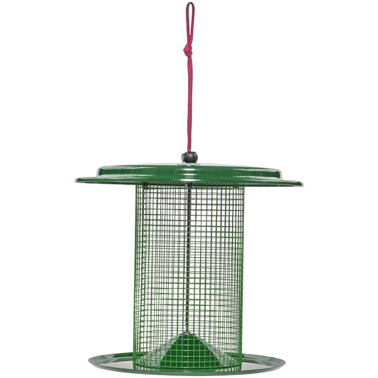 Sunflower Seed Bird Feeder Color Pop Collection in Green and Lavender - Birds Choice