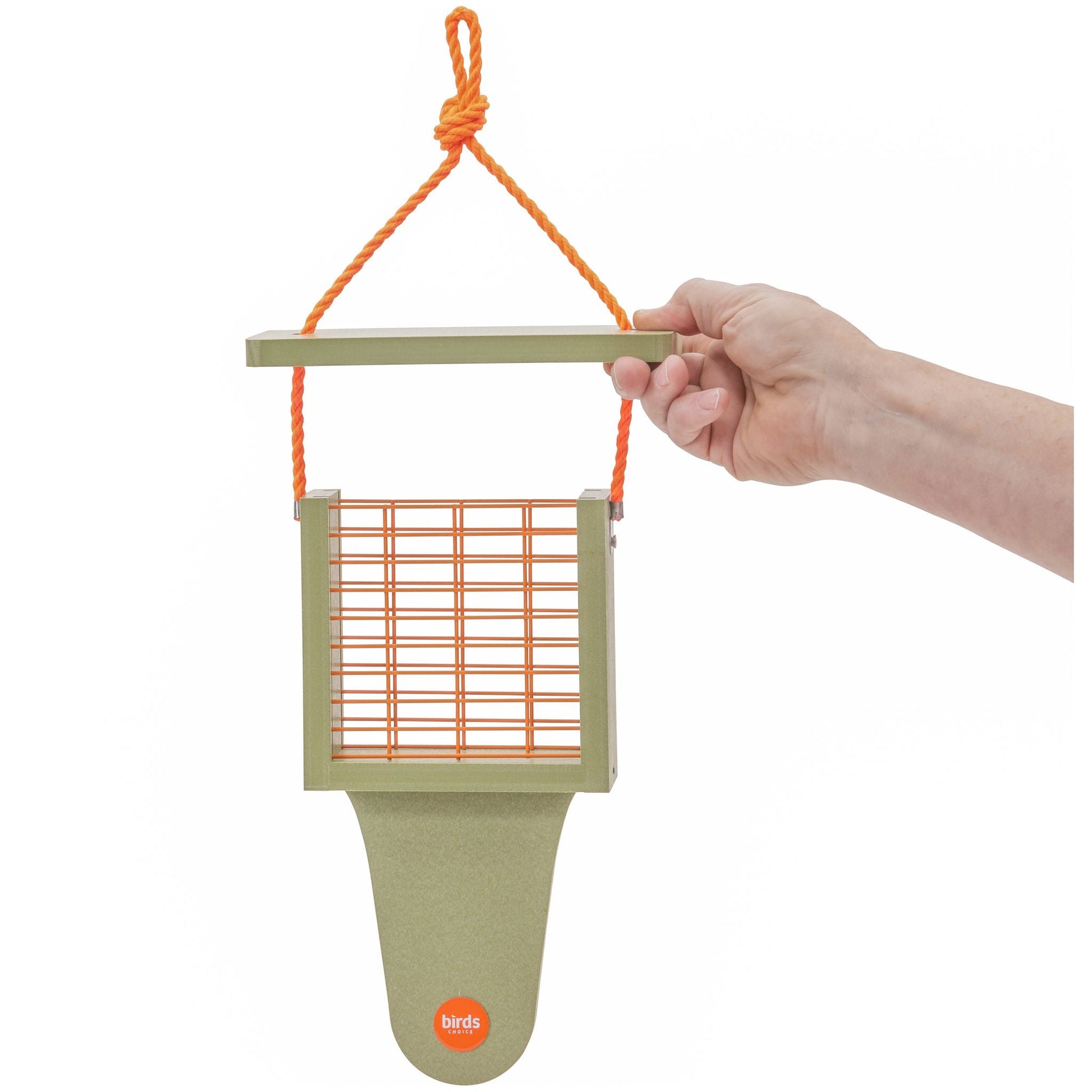 Suet Feeder with Tail Prop Color Pop Collection in Fern Green Recycled Plastic - Birds Choice