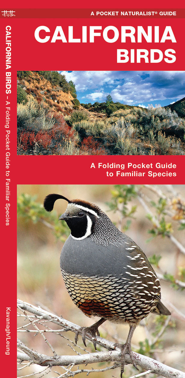 California Birds Pocket Guide