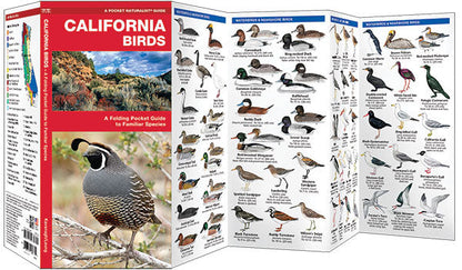 California Birds Pocket Guide