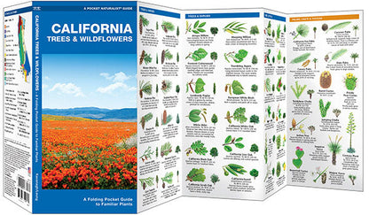 California Trees & Wildflowers Pocket Guide