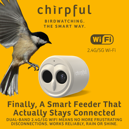 Chirpful Smart Camera - 4k Camera | Solar-Powered | AI-Driven