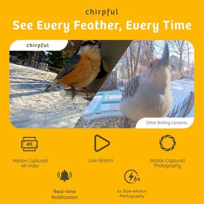 Chirpful Smart Camera - 4k Camera | Solar-Powered | AI-Driven