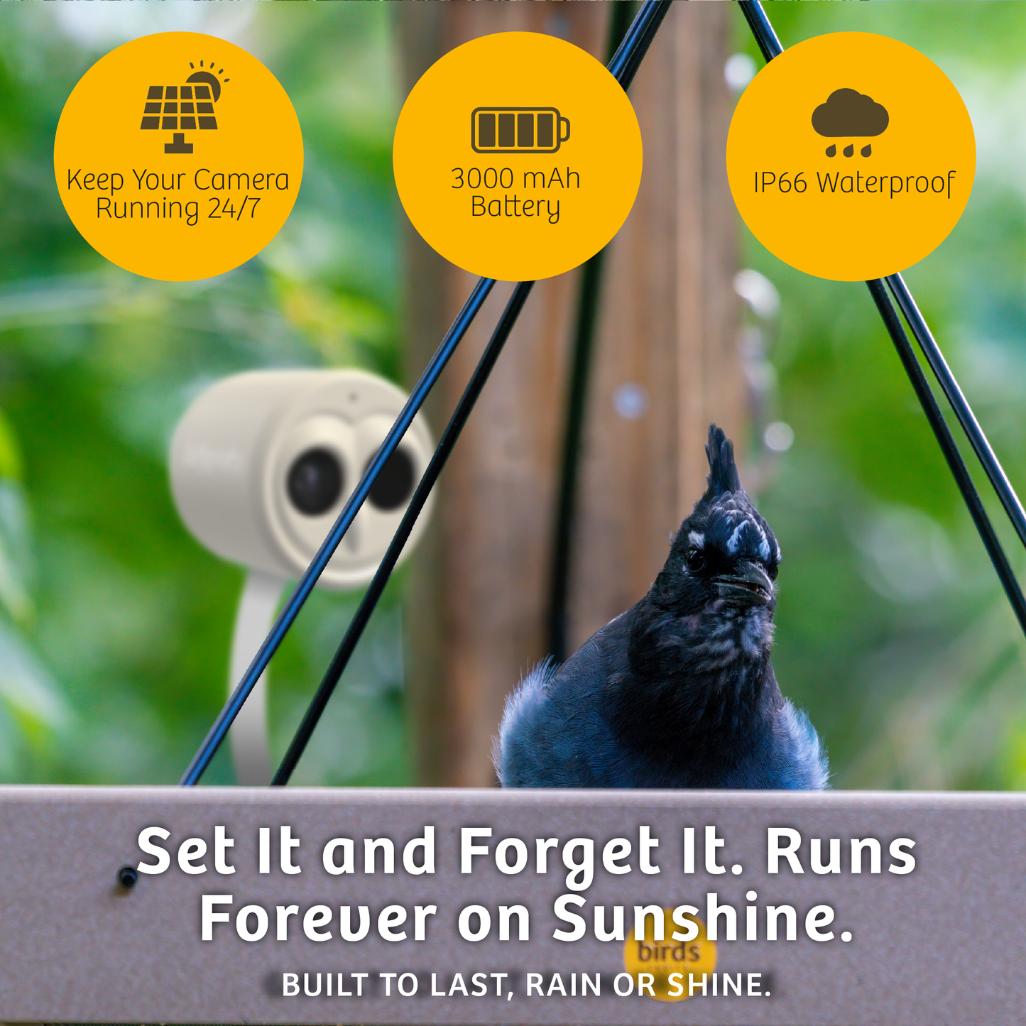 Chirpful Smart Camera - 4k Camera | Solar-Powered | AI-Driven