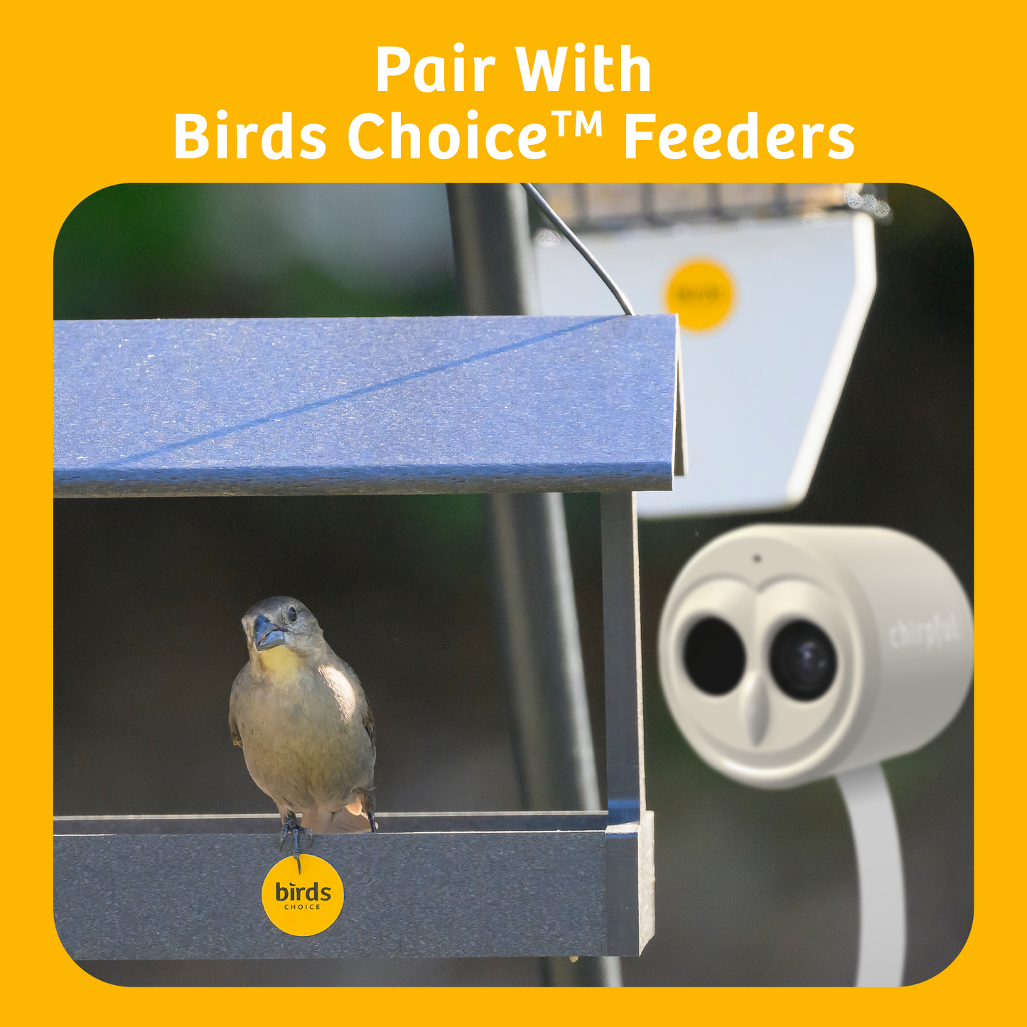 Chirpful Smart Camera - 4k Camera | Solar-Powered | AI-Driven