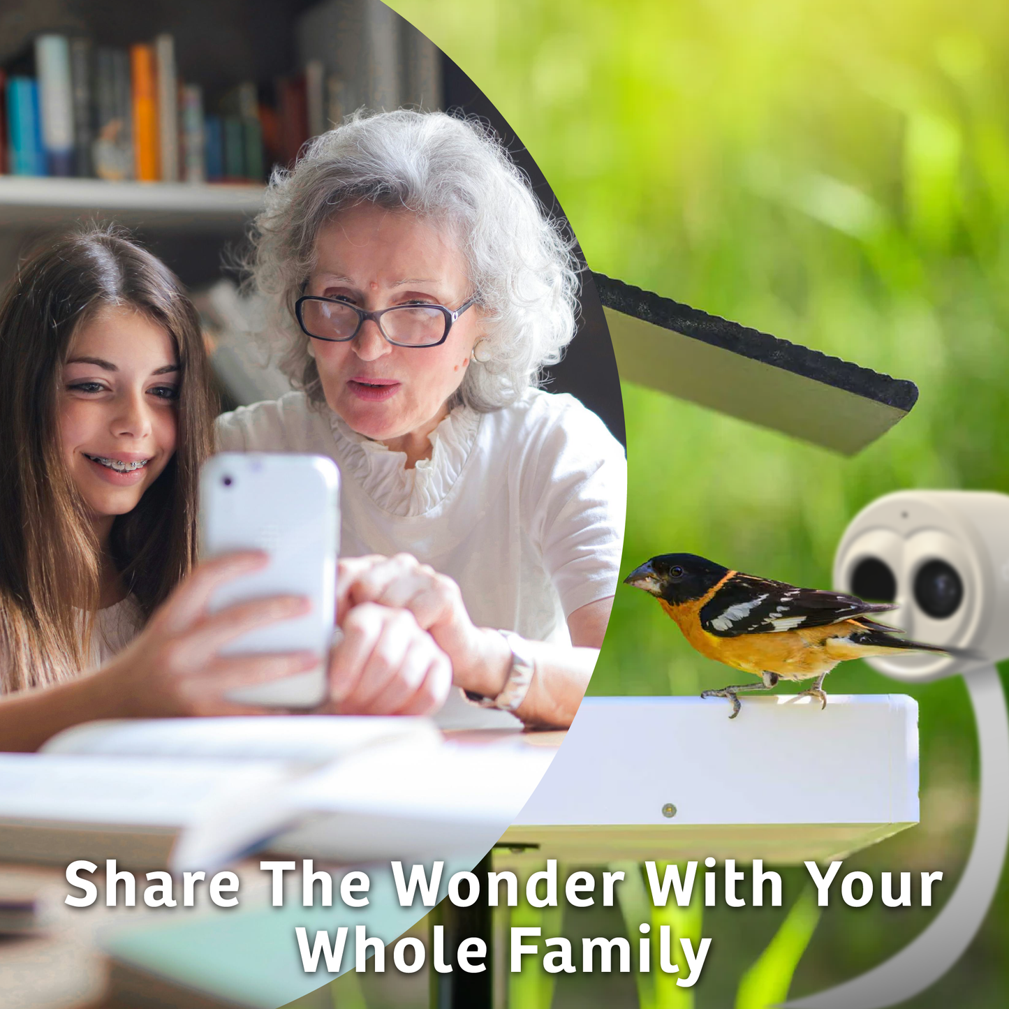 Chirpful Smart Camera - 4k Camera | Solar-Powered | AI-Driven