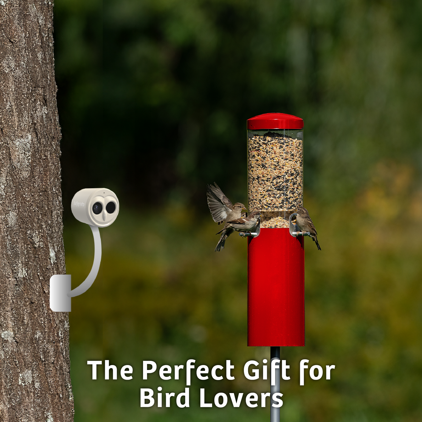 Chirpful Smart Camera - 4k Camera | Solar-Powered | AI-Driven