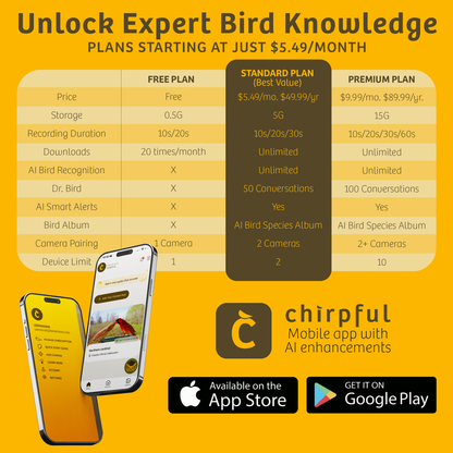 Chirpful Smart Camera - 4k Camera | Solar-Powered | AI-Driven