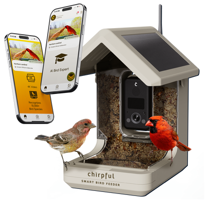 Chirpful Smart Feeder - 4k Camera | Solar-Powered | AI-Driven