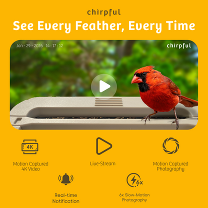 Chirpful Smart Feeder - 4k Camera | Solar-Powered | AI-Driven