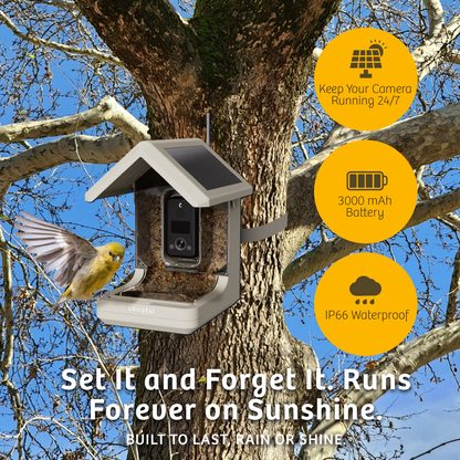 Chirpful Smart Feeder - 4k Camera | Solar-Powered | AI-Driven