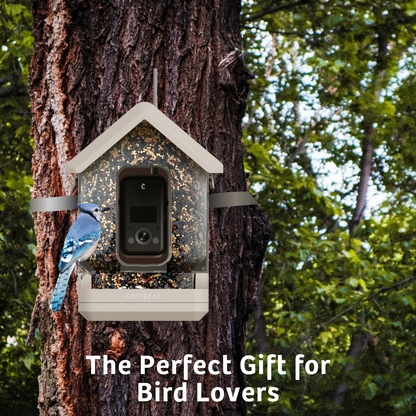 Chirpful Smart Feeder - 4k Camera | Solar-Powered | AI-Driven