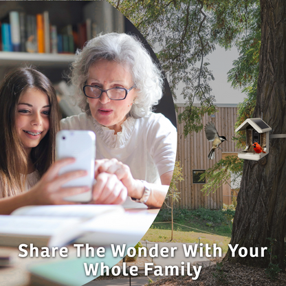 Chirpful Smart Feeder - 4k Camera | Solar-Powered | AI-Driven