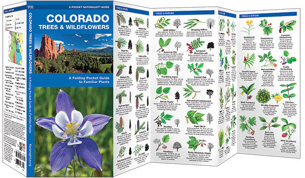 Colorado Trees & Wildflowers Pocket Guide