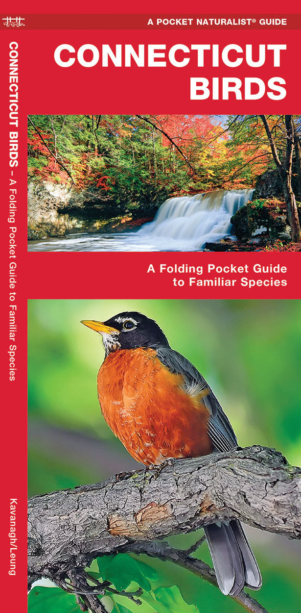 Connecticut Birds Pocket Guide