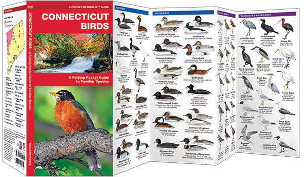 Connecticut Birds Pocket Guide