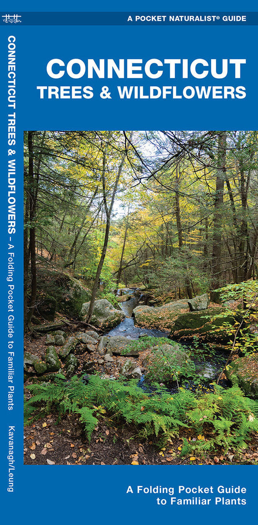 Connecticut Trees & Wildflowers Pocket Guide