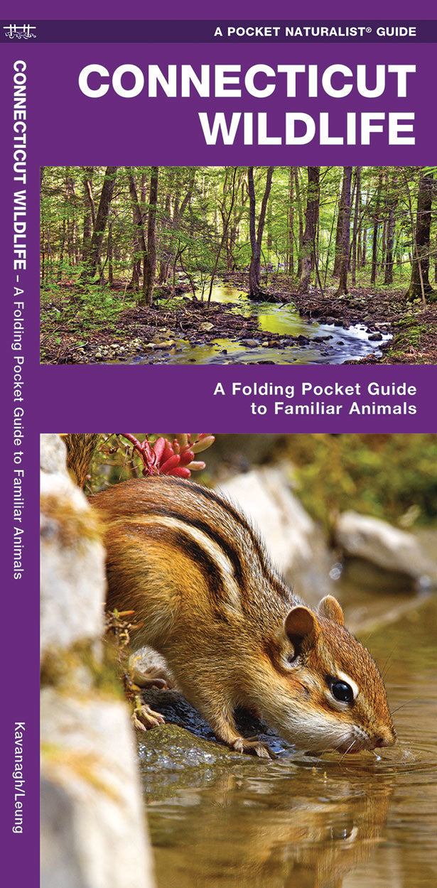 Connecticut Wildlife Pocket Guide